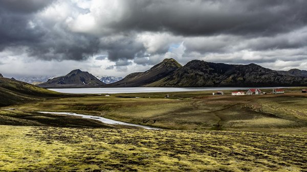 Huiles essentielles pour stimuler votre métabolisme