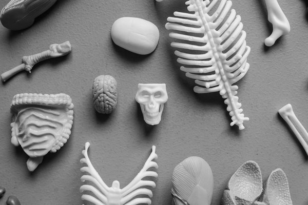 Les alternatives naturelles pour contrôler l'hypertension chez les seniors